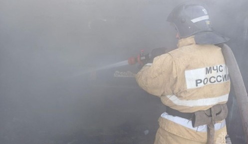 � ������� ������� �� ������ ��������� 41 �����