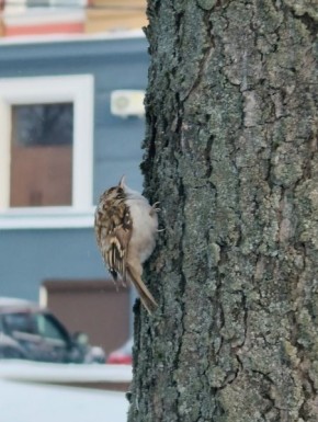 � ������������ ����� ������ �������� ������