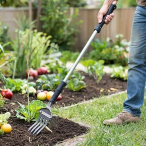 ������ �������� ��� ����� �����: ���������� ���������� ��� ��������