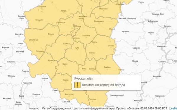 В Курской области до 5 февраля действует оранжевый уровень погодной опасности