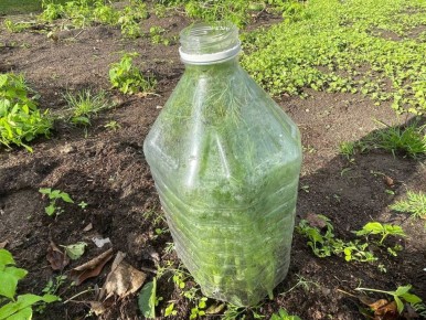 ��� ������ ��������� ����� ��� ��������: ������� ��������� ������