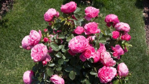 ��� ��������� ��������� �������� ����� ������ �� ������ �������