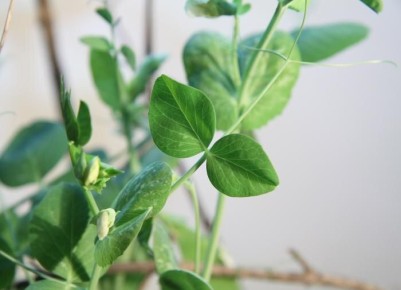 ����� � �������: ������� ��������� ������