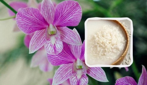 ��� ���������� �� �������: ������� ���������� ���������