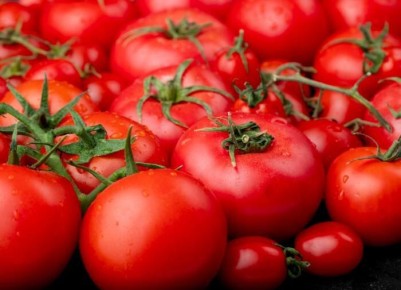 ������ ��� ���������: ������� ������������� ��������� ��� �������� ������