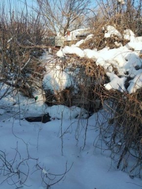 � ������ ����� ����� ��� ������ ����� ���������� � ������ ������� ���