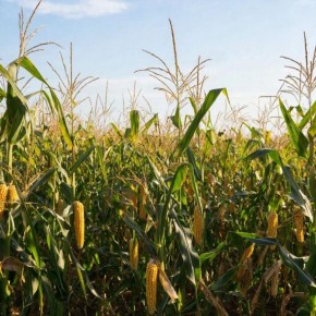 � ������� ������� ������ 3 ����� �������� � ������� ��������