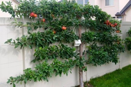 ��� ��������� ������ �� ��������: ������� � ������ �����