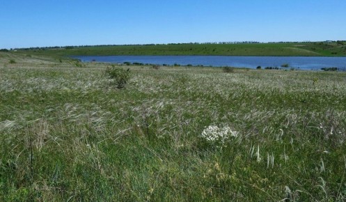 � ������������ ������ ������� ������� ����� �������� ���� ��������� ������� � ����