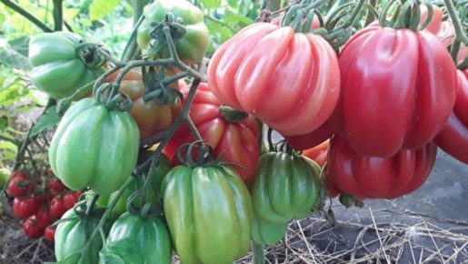 ������ 2026: 10 ������, ������� ����� ������ ���� ������