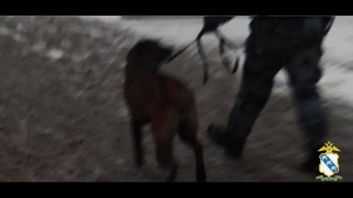 � ����������� ��������� ������� ����� � ������� �� ������ ����