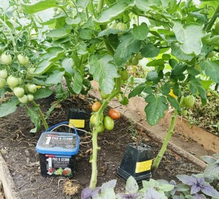 ��� �������� ��������� �����: ������� ��������� ������