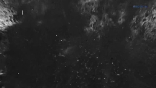 ������� �������!. � ���� ���� �� �������� 83-� ��������� ������������ ������ �� �������-���������� �����������