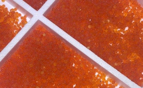 � ������� ������� ������ 500 ���. ���� �������������� ���� ������ �� ������