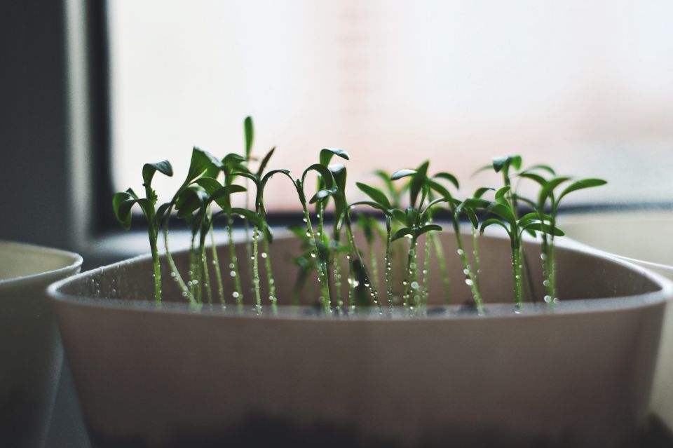 ������� ��������������� ����� ����� ������������ ������� �����������