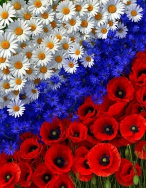 � ������� ������� �������������� �������� �� ������ �� ������� �����������