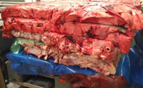 �� ������������� ��������� ������ ������ ���� � �������