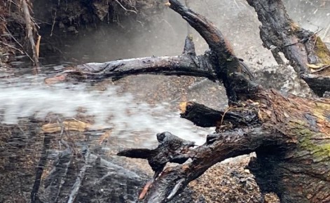 � ������� ������� � ������� 35 ���������� �������� ������ ������