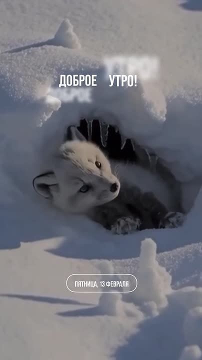 ������ ����, ������� ���������� �����!