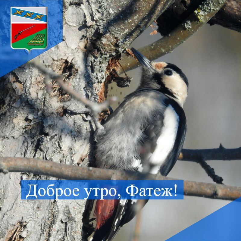 ������ ����. ��������� �������, ������� ��� ���� ��������