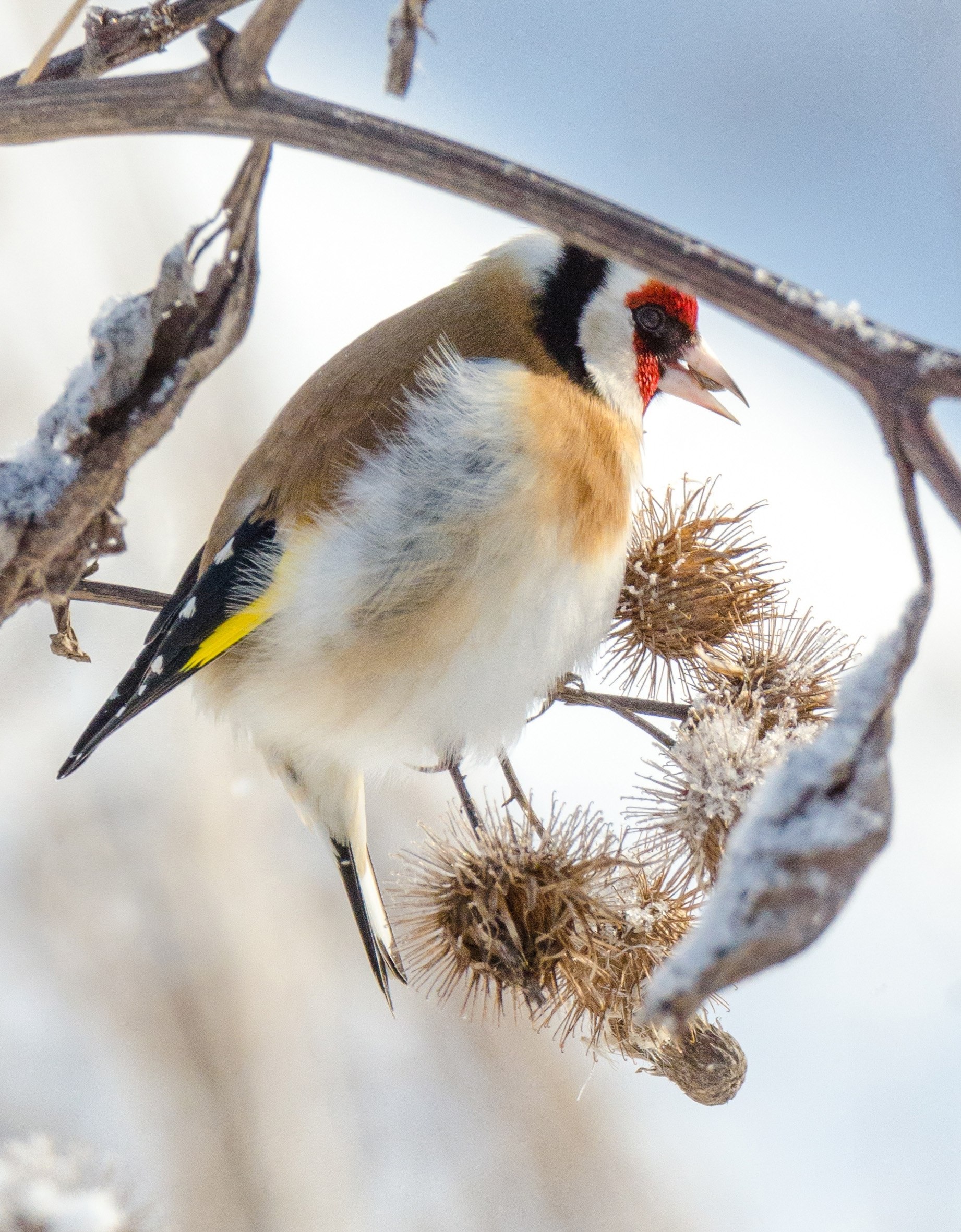 Доброе утро, Пристенский район!