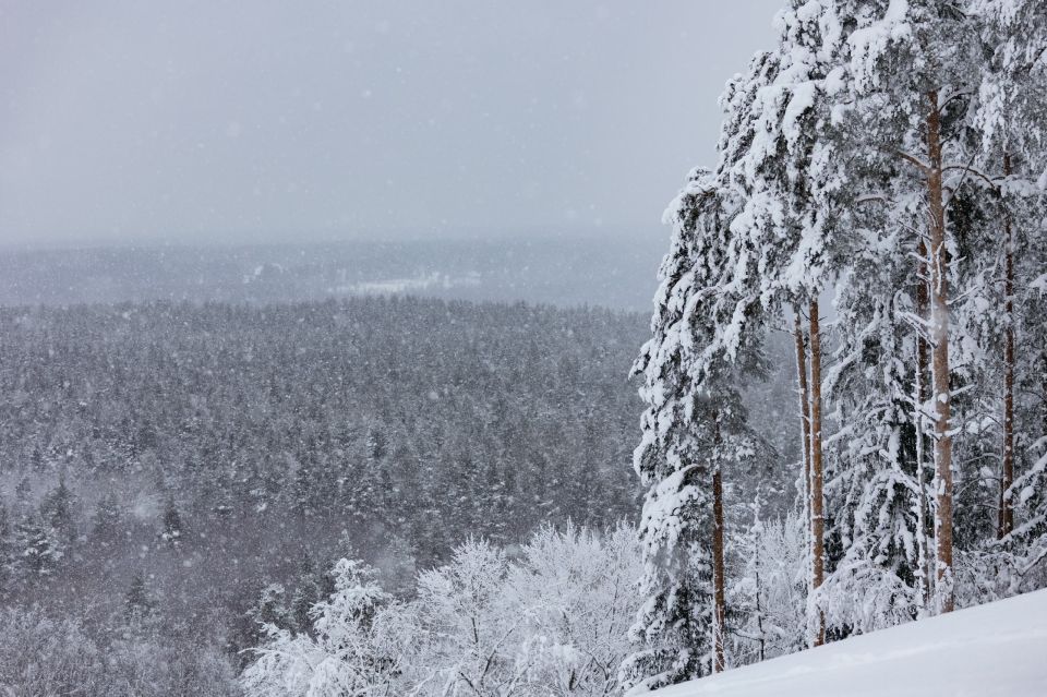 Команда Курской области выступила на первых зимних играх святого благоверного князя Александра Невского, которые состоялись в Кавголово Ленинградской области