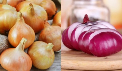 ��� ��������� ��� ������ �� ������ �����: ������� ������