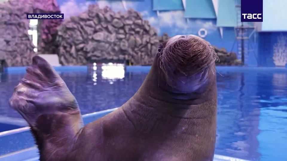 ���� ���� �� ������������ ������� ������� ���� �� "�����������" ������� ���� � ����� ������ � ��������� � ���� ���� ����������