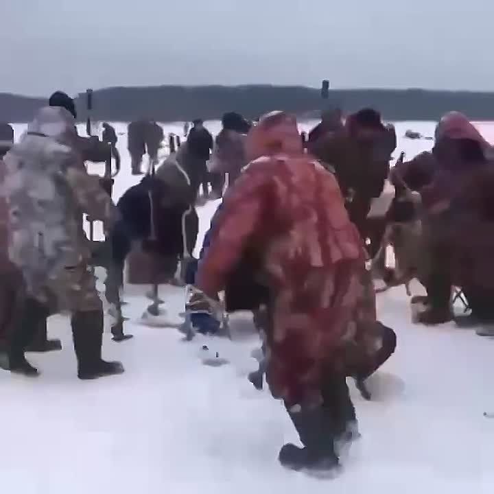 Алексей Томанов: Когда узнал, что ЛДПР в Курской области проводит соревнования с крутыми призами