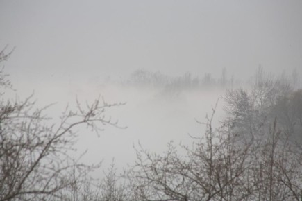 ��-�� ��������� � ������� ������� ��������� ���������� ��������� �� �������