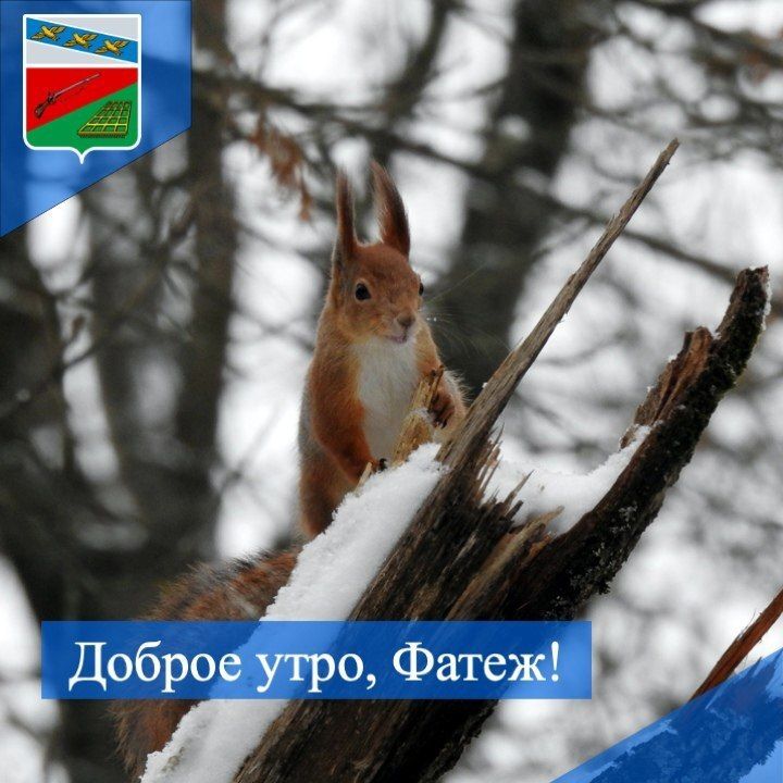 ДОБРОЕ УТРО. Желаем хорошего начала новой рабочей недели! Пусть понедельник пройдет легко и незаметно