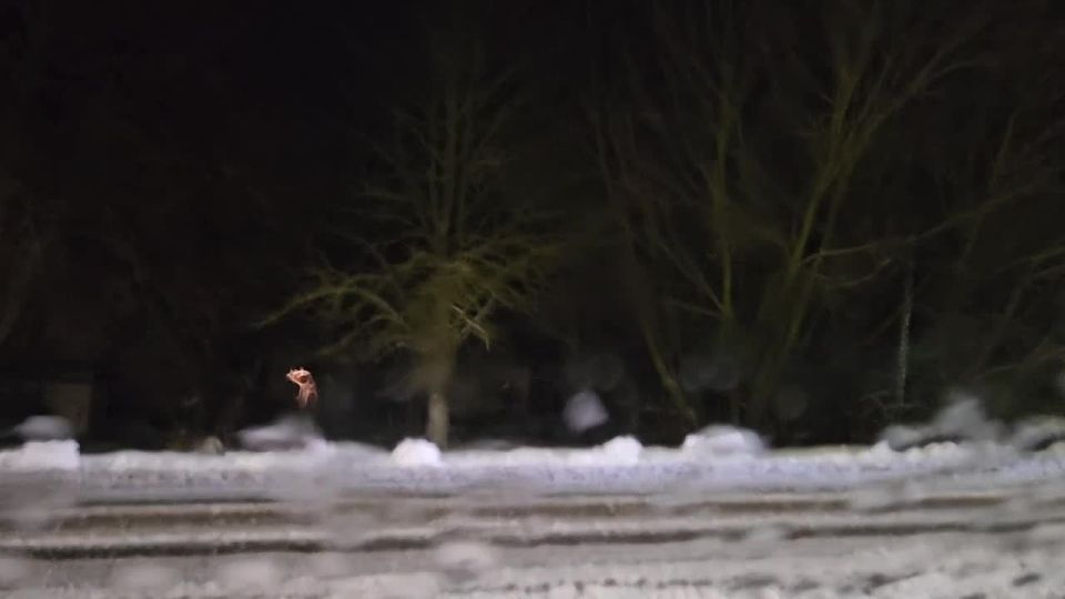 ������� ��������: �������� ������� ����� ����������: ���� ������ �����, � �� ������ �������� ��� ��������� ��������� �����������