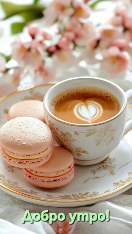 ������ ����!. �������, �� �������, 17 �������, �� �������� ������������� ��������� ���, � ������� ������� ������� � ������������