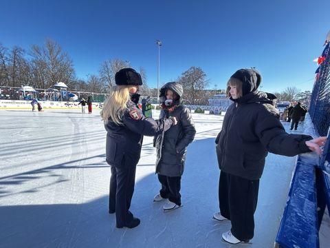 ���������� ��������� ���������� ������ ���� ������ �� ������ ������ ������������ ���������� �����