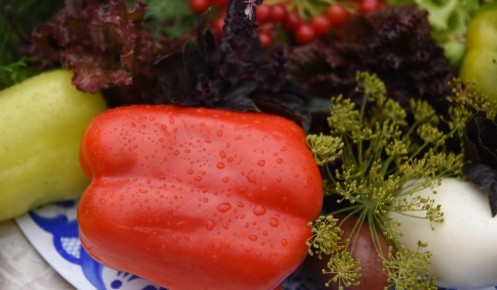 � ������� ������� �� 2025 ��� ����������� 5,7 ����� ���������