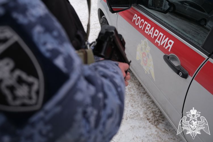 � ������� ������� ������������ �� ��������� ������ ��������� 264 ������ �� ������� ��������