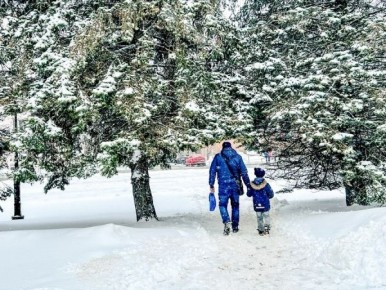 �� ������� ������� ���������� ������ ������� ������ ���������