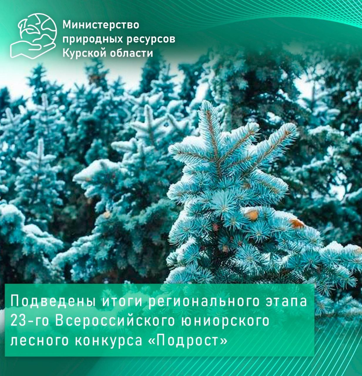 Подведены итоги регионального этапа 23-го Всероссийского юниорского лесного конкурса «Подрост»