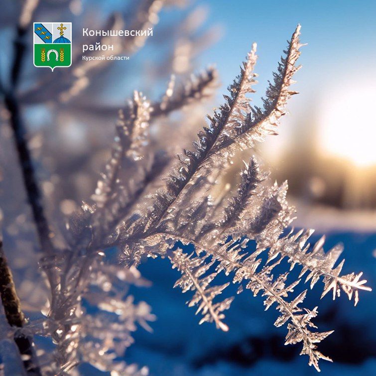 ������ ����!. ���������� ����������