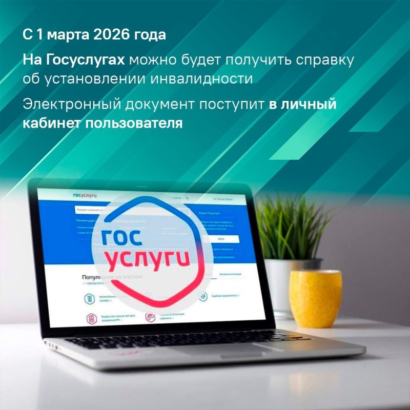 Справку об инвалидности можно будет получить через Госуслуги