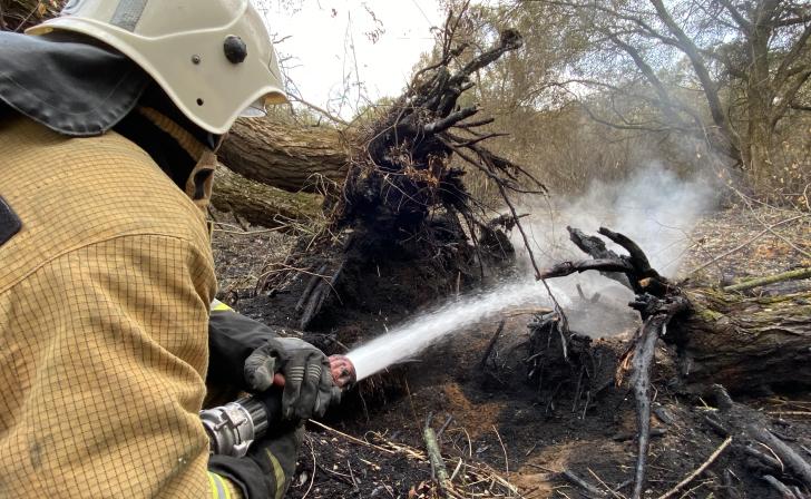 В Курске выберут наказание для виновника пожара