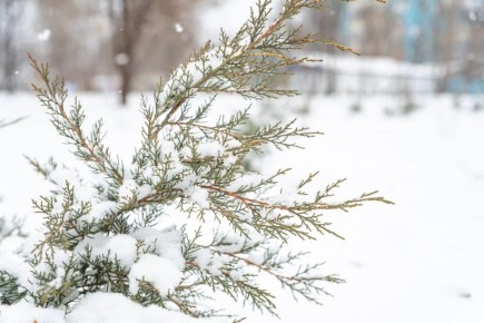 � ������� ����� ���� ����� ������� ����