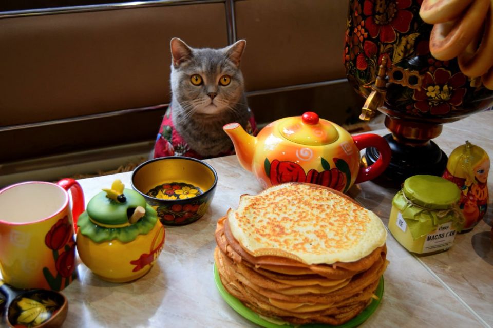 ������ ����! ��������� ������������! �������� � ��� ������ ���� ����������� ������ � ��������� ���� ������ ����������