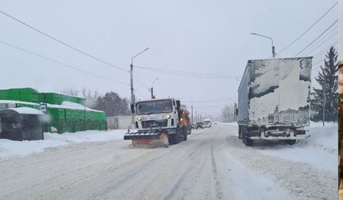 ������� ��������� ��������� ���� 88 ��������� �������