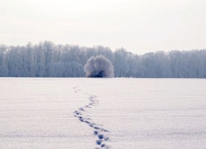 �� ����� ��������� ����� 1500 ��������� � ��������� �����, ���� �� ����� ������� � �������� � ������