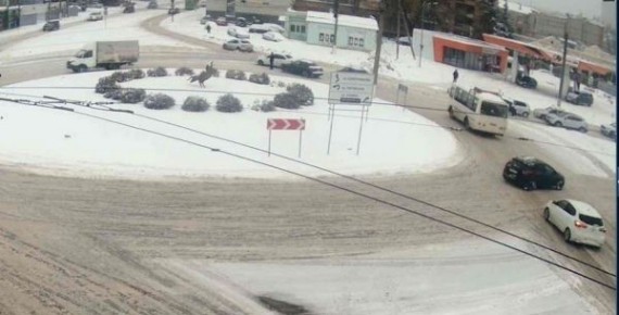 ��-�� ��������� ����� ������� � �������, �������� �������� ���������