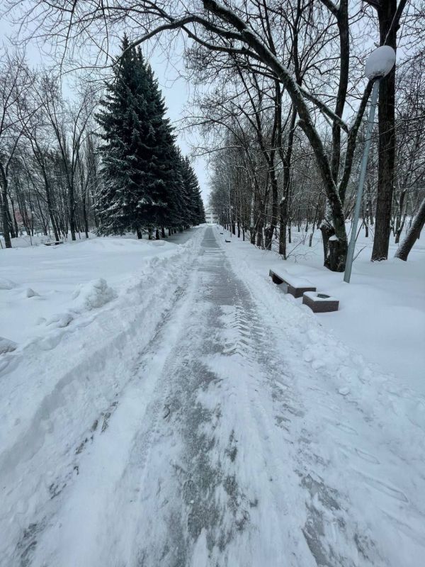 � ������ ���������� ������� ������������ ������������