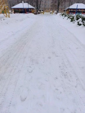 � ��������������� ������ ���������� �������� ������������� ���������� ������� �� ������������� ������ ����, ������� ����� � ���������� ����������