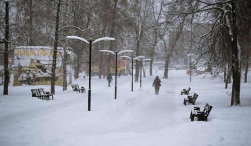 В Курской области проходят массовые субботники по уборке снега