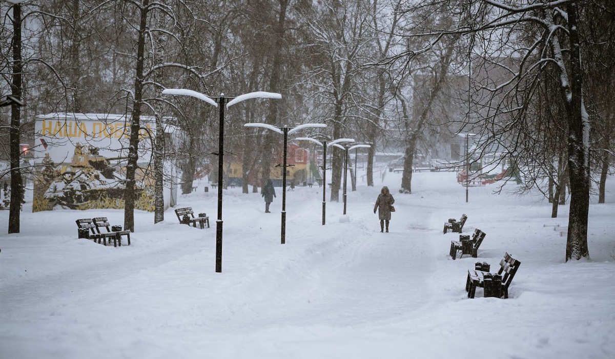 В Курской области проходят массовые субботники по уборке снега